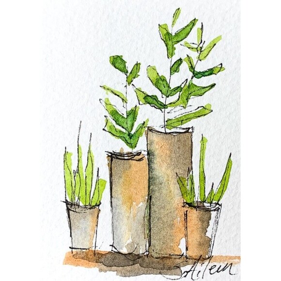 ACEO Painting Watercolor Ink Plants in Terracotta Pots Botanical IV Signed - Picture 1 of 2